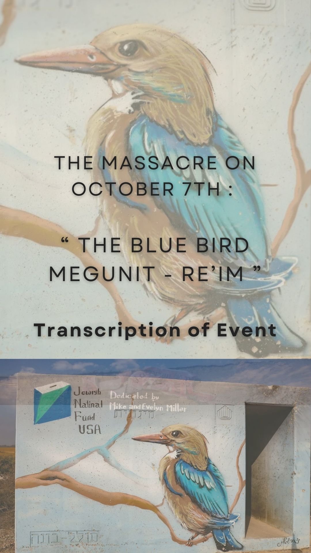 Video poster: Megunit, Blue Bird shelter testimony